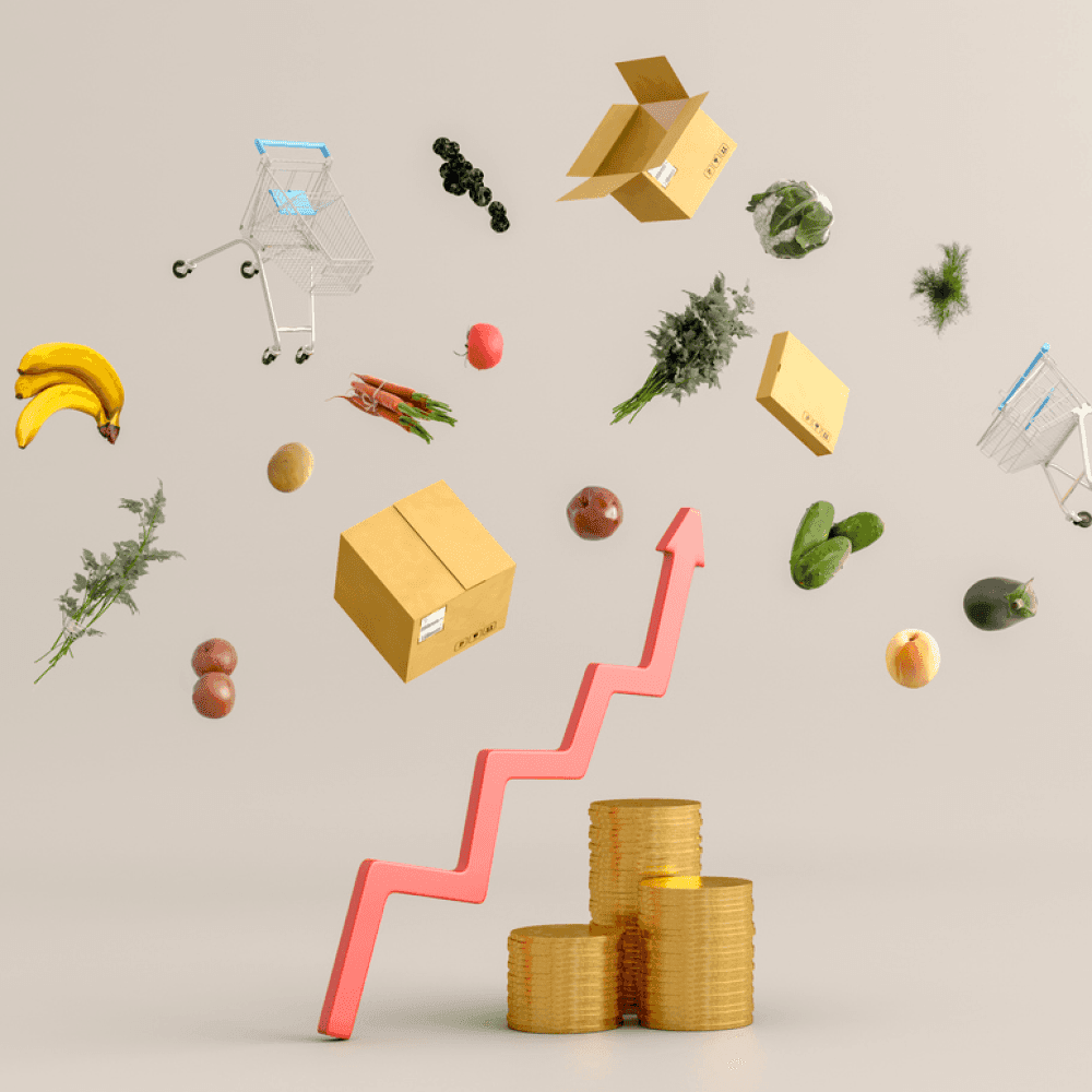 What Causes Inflation?