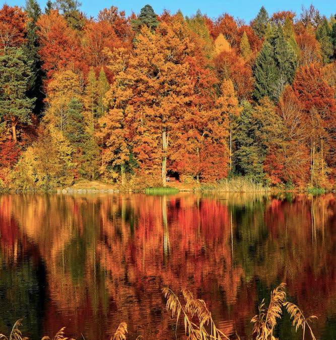 Is Now A Good Time To Refinance a Car? Fall 2022