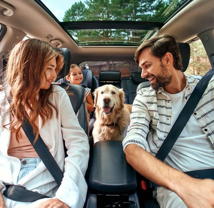 What is a Good Car for Dog Owners?